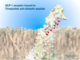 glp-1 receptor tirzepatide bound anti-diabetic mounjaro 3dc